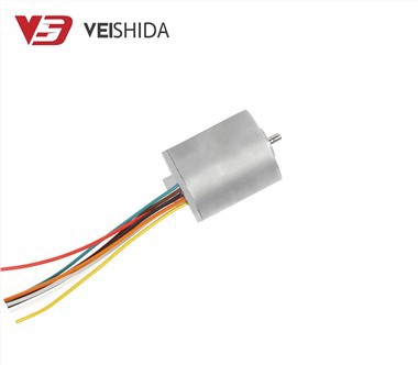 28mm Mini High Speed ​​Bldc Motor