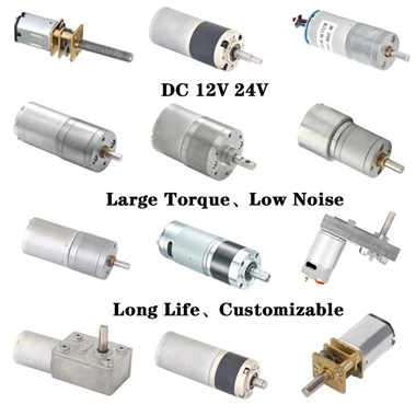 12V 24V Micro Gear Motor