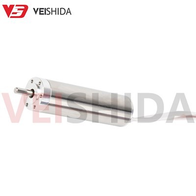 12V mikwo coreless DC motè - personnalisable bwose ak brushless